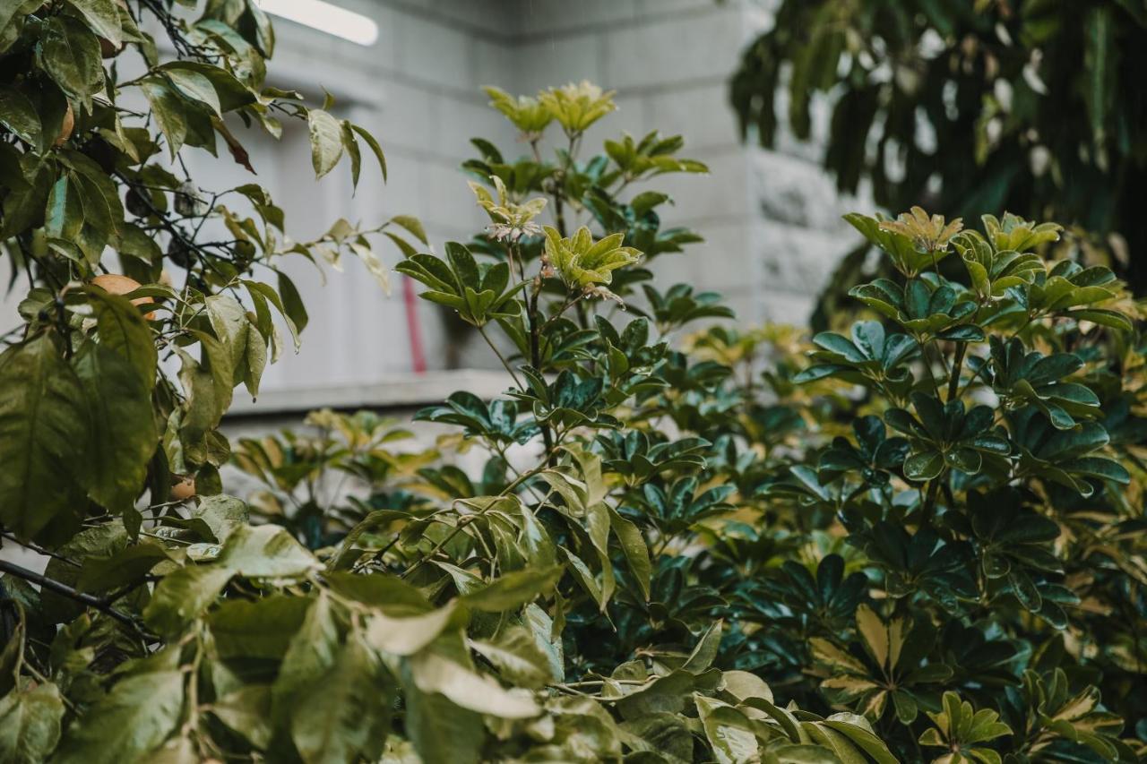 The Garden Apartment Ναζαρέτ Εξωτερικό φωτογραφία